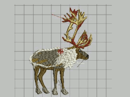 Caribou