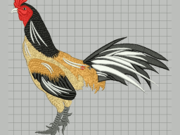 Rooster03